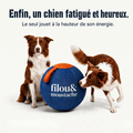 Balle géante indestructible filou&moustache